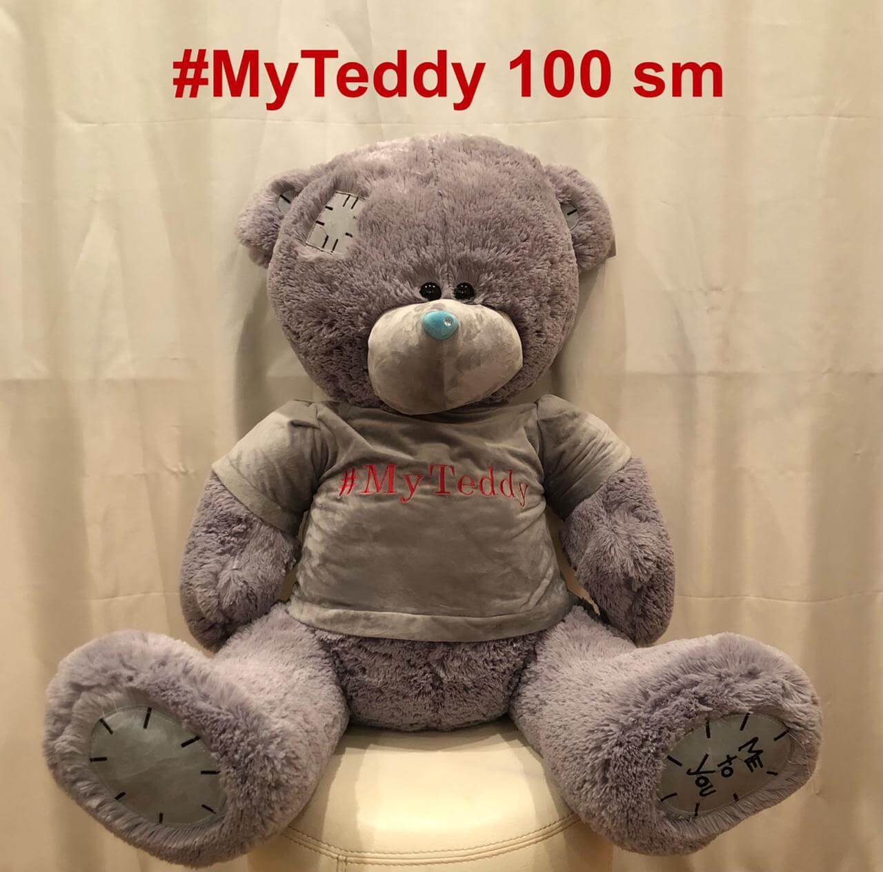 my teddy 100sm